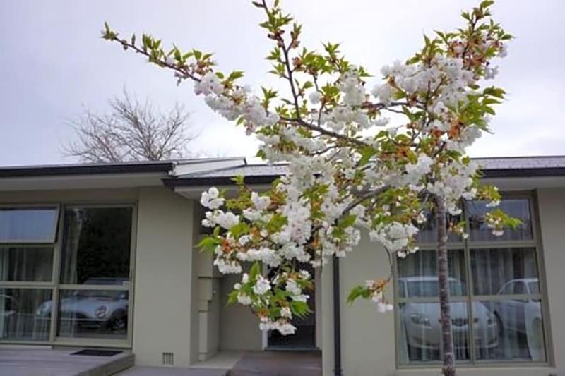 Tower Junction Motor alojamiento Christchurch Exterior foto